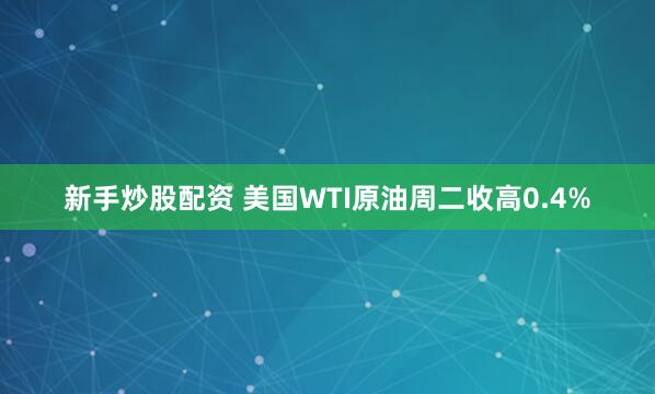 新手炒股配资 美国WTI原油周二收高0.4%